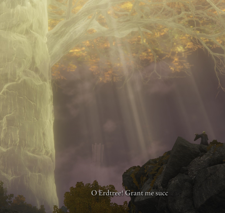 A distant man speaks gesticulately to the sky, with the subtitles edited: "Oh Erdtree! Grant me succ".
