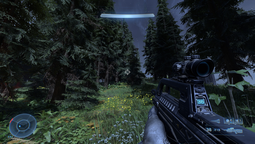 A deeper smattering of forest forbs.